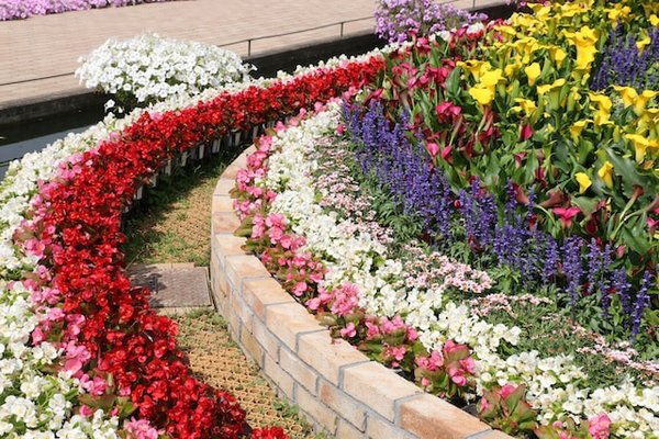 10 Astuces Pour un Jardin Potager Bio Productif et Écologique
