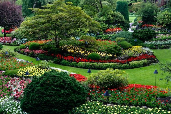 Comment Favoriser la Biodiversité dans Votre Jardin ?