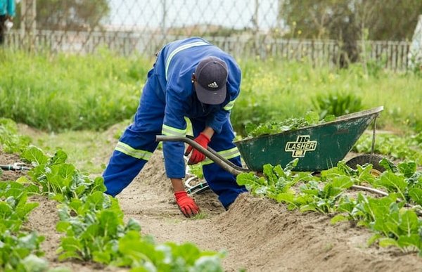 10 Techniques de Jardinage Innovantes pour Révolutionner Votre Espace Vert