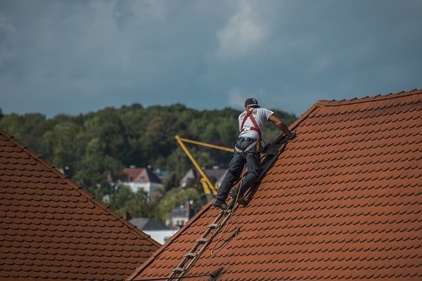 Les avantages insoupçonnés de la végétalisation des toitures en milieu urbain